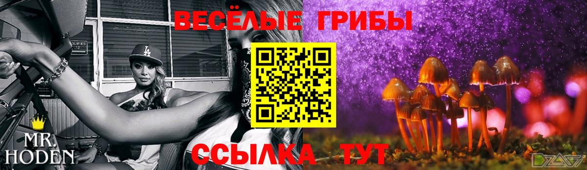 Заводоуковск  Галлюциногенные грибы мицелий  Вход с VPN 