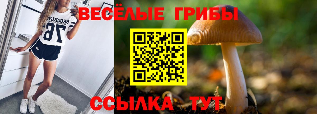 Псилоцибиновые грибы Cubensis Заводоуковск